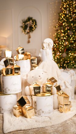 whatsapp image 2025-12-24 at 09